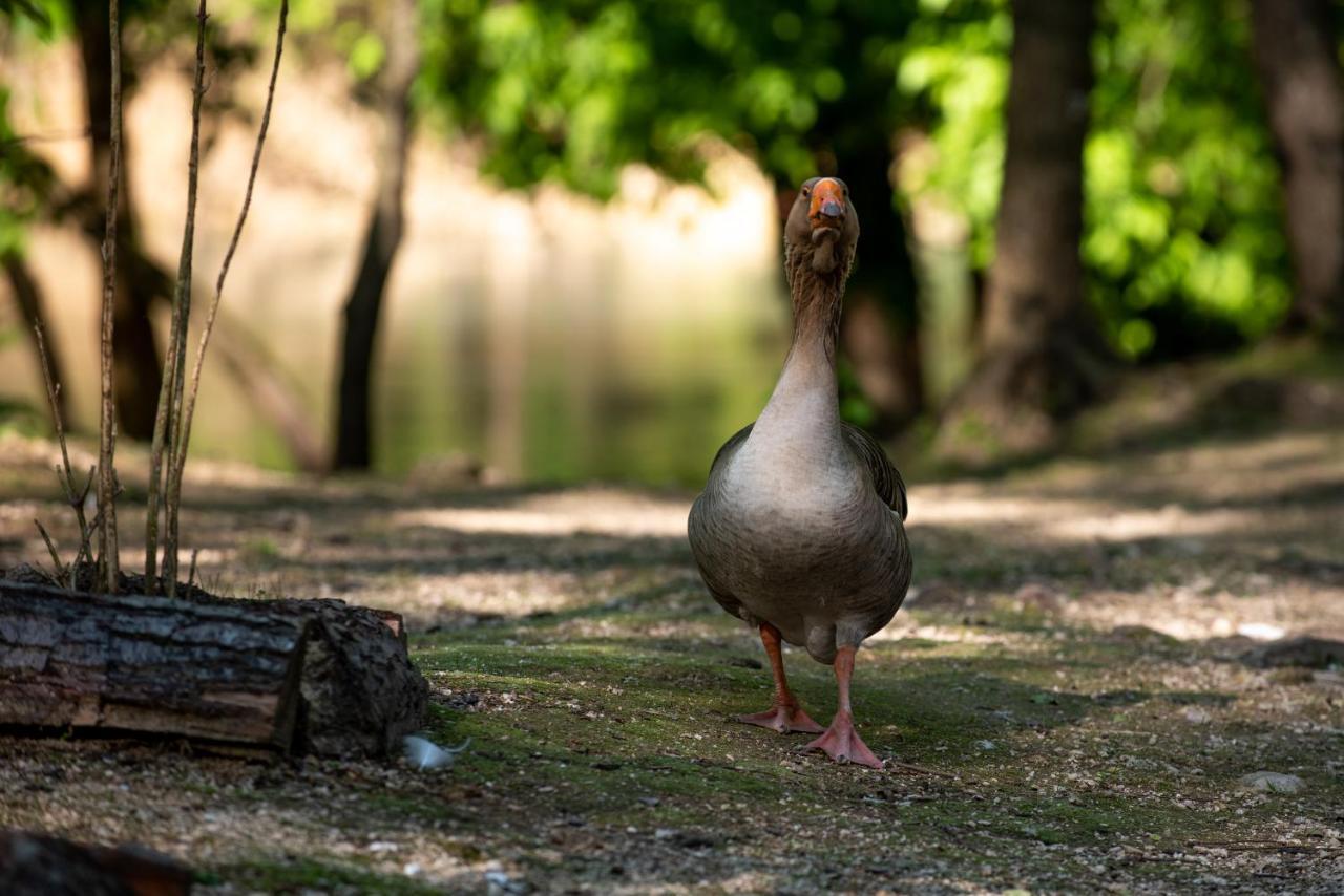 Hotel Kostelski Buk Bihać Esterno foto